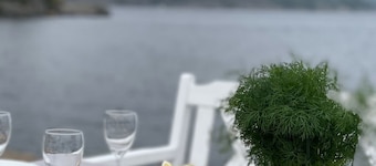Exclusive vacation home right by the sea in southern Norway with its own jetty.