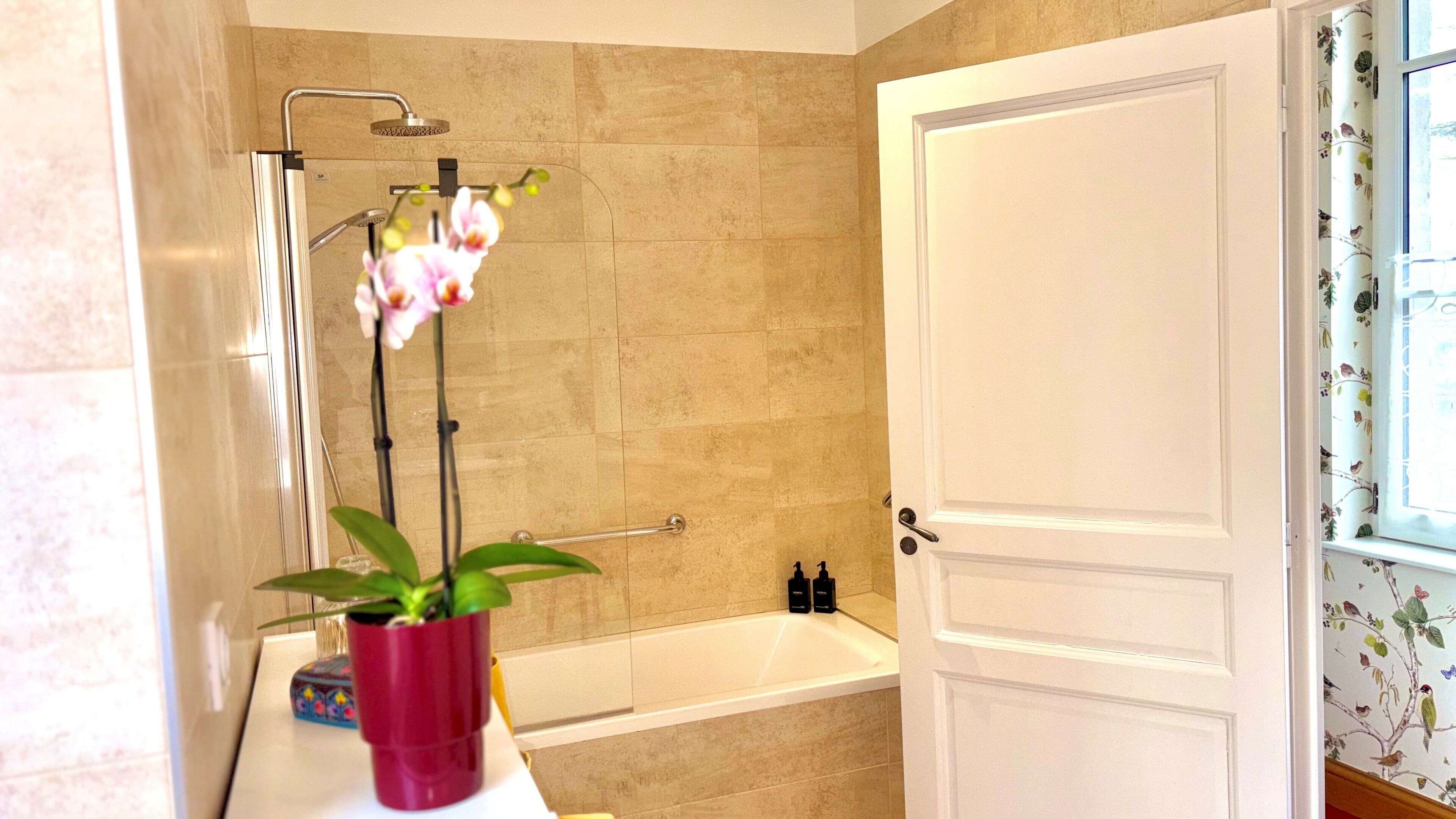 Hair dryer, bidet, towels, soap