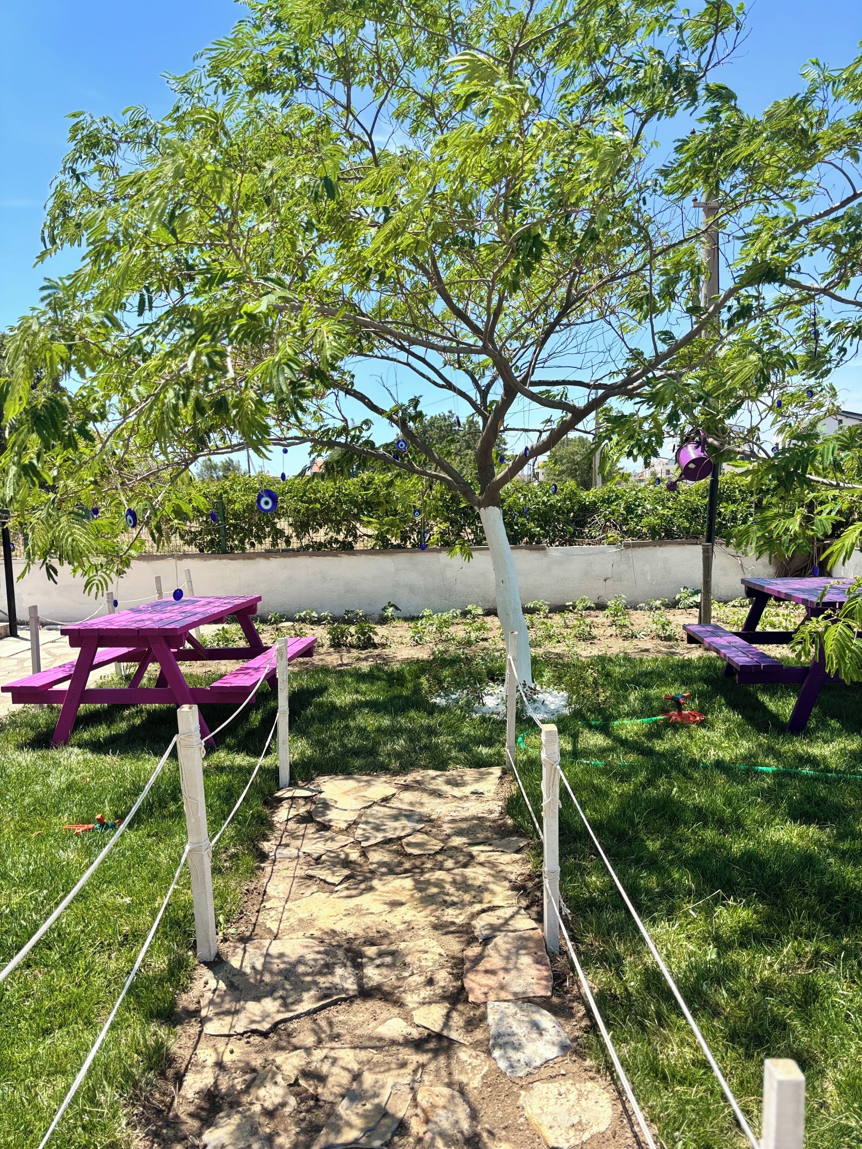 A picnic area with a stone pathway, picnic tables, and a tree.