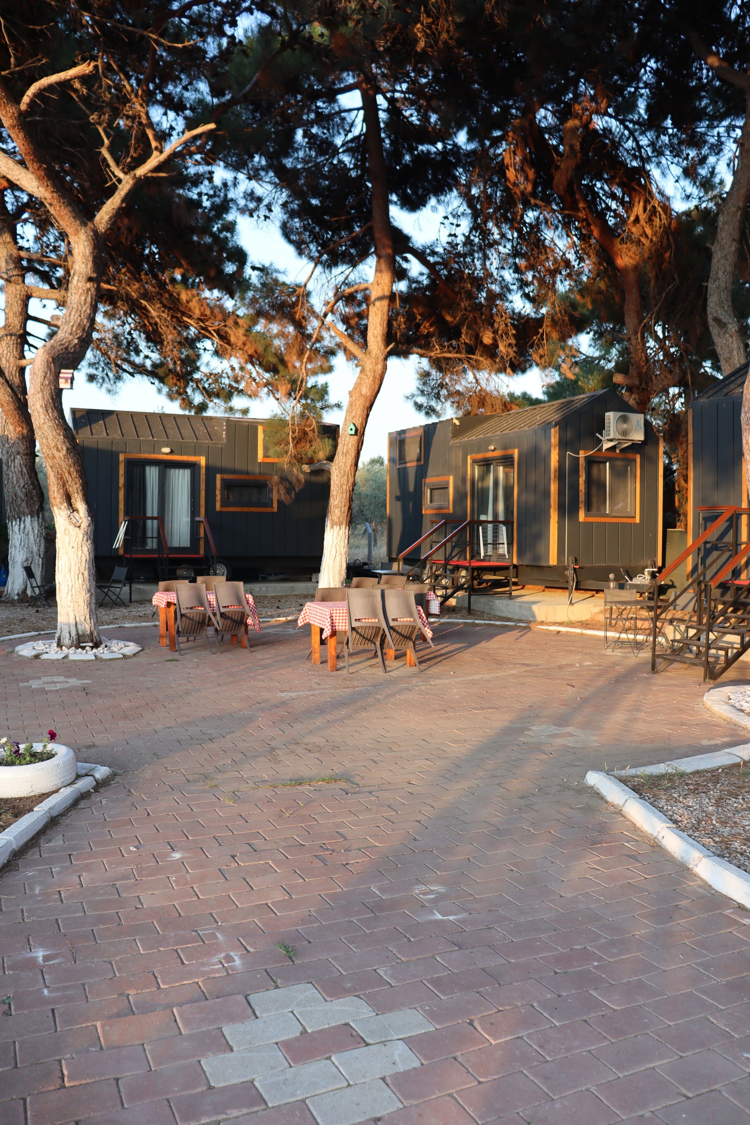 Standard Room, Pets allowed | Free WiFi