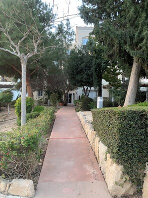 A pathway leading to a building with a white facade and a door.