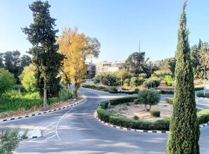 A curved road with a central median, surrounded by neatly trimmed hedges and tall trees.