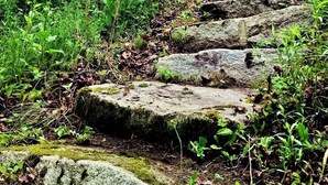 Una escalera de piedra que sube hacia un edificio de color azul, rodeado de vegetación y un cielo despejado.