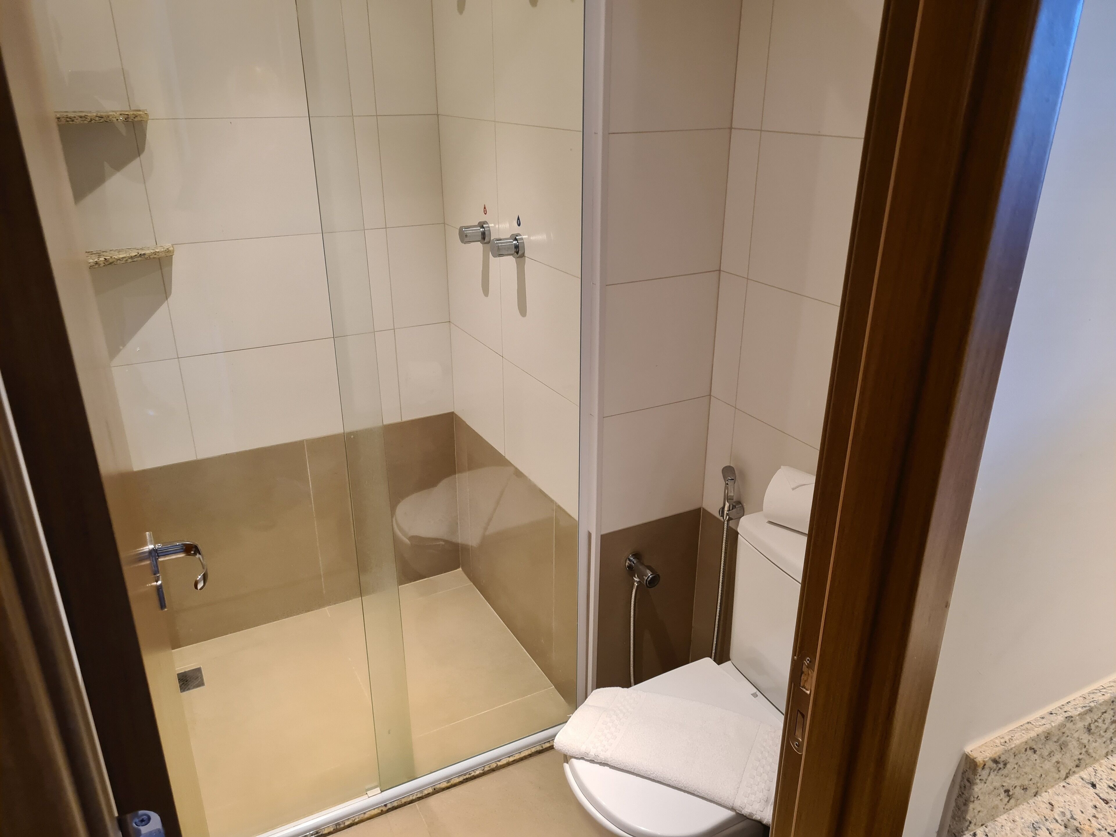 A glass-enclosed shower with a toilet and a towel.