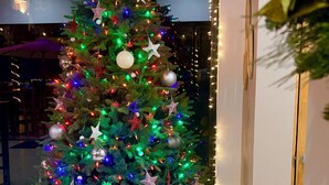 Een grote kerstboom versierd met diverse versieringen en lichtjes, geplaatst in een goed verlichte ruimte met een betegelde vloer.