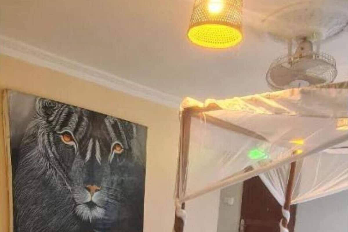 Habitació doble, vistes al jardí | Wifi gratuïta 