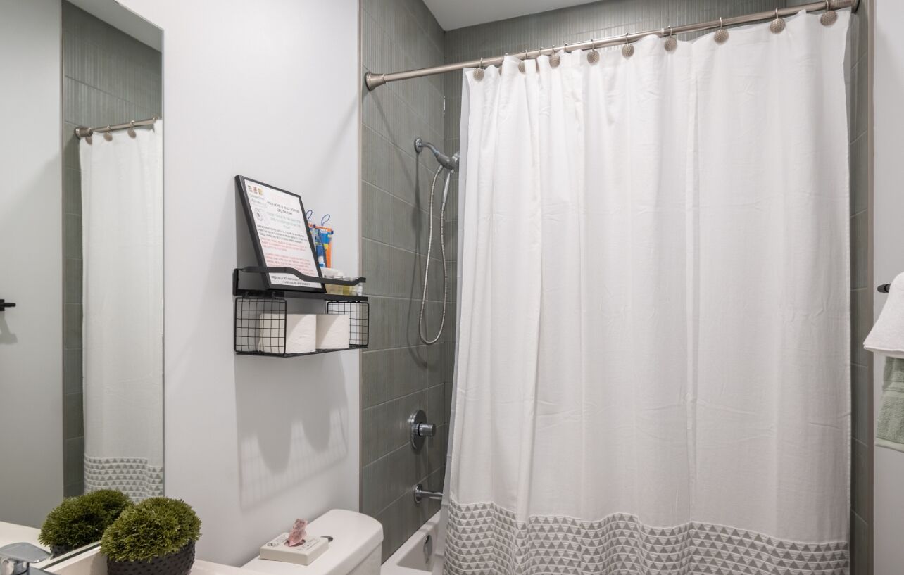 A modern bathroom with a shower, toilet, and sink. There is a shelf with toiletries and a small plant.