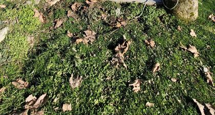 La campagne en Périgord Noir