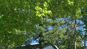 A two-story house with a stone foundation, a porch with white railings, and a covered front porch area. - Bootjack Lake House: Private Lakefront in the Heart of the Keweenaw (Lake Linden)