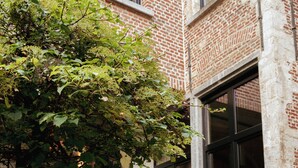 A courtyard with a large potted plant, a brick building with large windows, and a stone column. - BTFL Living, Luxury Residences Antwerp, Zirkstraat (Antwerp)