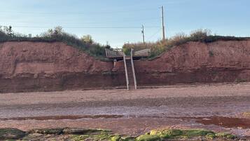 Plage, chaises longues, serviettes de plage