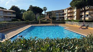 Ein von Grünpflanzen umgebener Swimmingpool, über ihm ein klarer Himmel.
