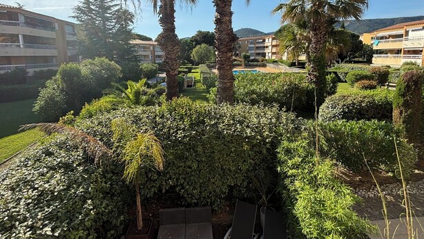 Ein angelegter Garten mit Palmen, einem Schwimmbecken und Wohnhäusern im Hintergrund.