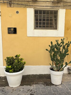 Detalle exterior