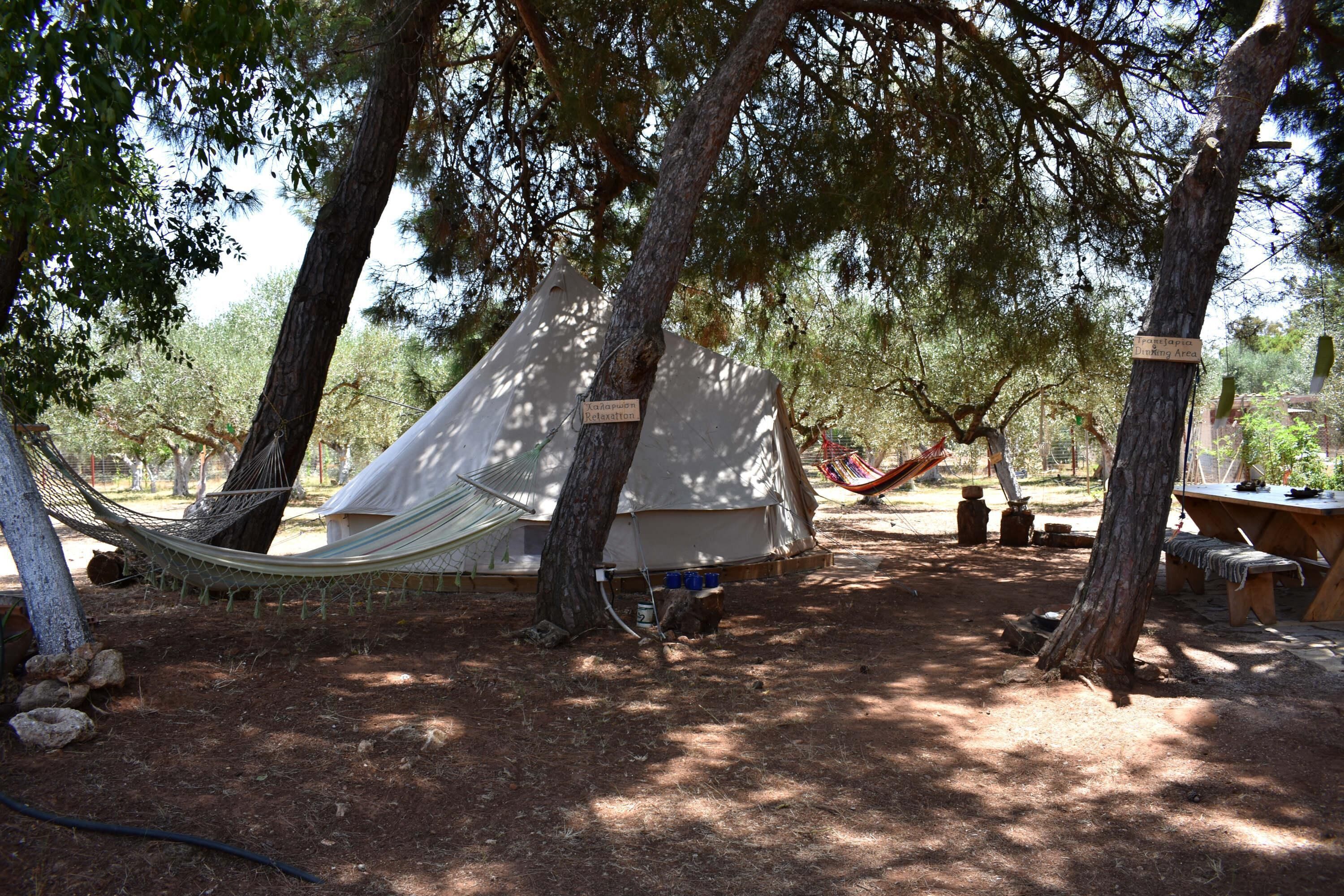 A tent set up in a wooded area with trees, a hammock, and a picnic table.