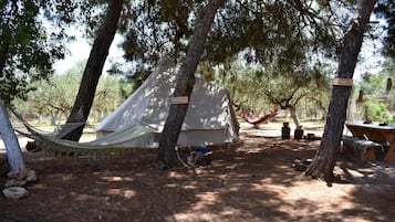 A tent set up in a wooded area with trees, a hammock, and a picnic table.