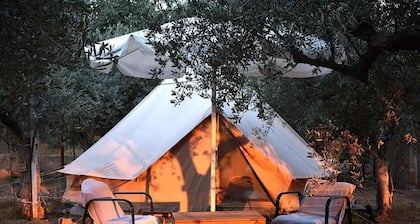 Private Eco Tent in Skiaxtro Cocoon Retreat