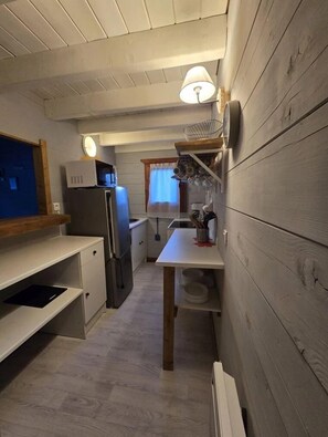 Kühlschrank, Mikrowelle, Herdplatte