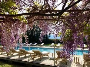 Pool - Camping - ccbbg0e - Two Bedroom Apartment, Sleeps 5 (Ghisonaccia)
