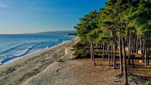 A beach with a rocky shoreline, a clear blue sky, and a line of trees.