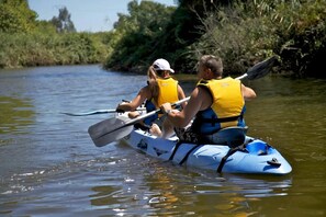 Unclassified image, 3 of 19, button