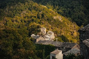 Miscellaneous - Appartement - ccbbg0i (Ghisonaccia)