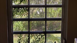 A window with a grid pattern, allowing a view of greenery outside.
