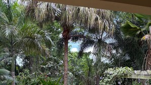 A lush garden with a variety of tropical plants, a small statue, and a stone pathway.