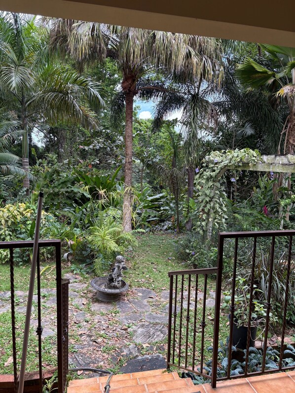 Un exuberante jardín con diversas plantas tropicales, una pequeña estatua y un camino de piedra.