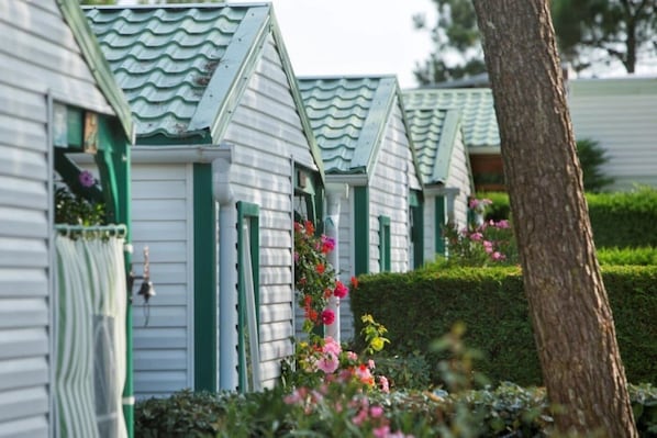 A row of white cottages with green shutters and a garden with pink flowers.