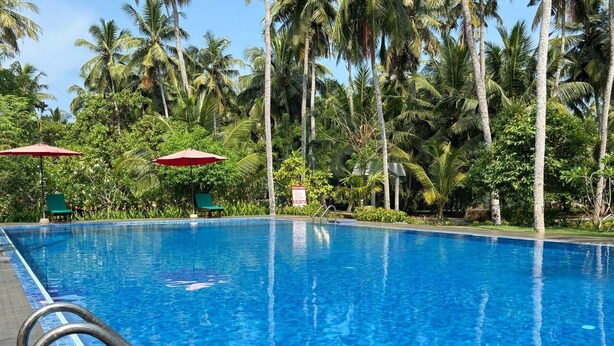 Una piscina azul cristalina rodeada de palmeras y follaje verde.