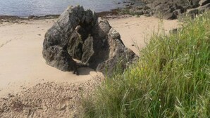 A natural rock formation on a sandy beach with a rocky shoreline and grassy vegetation.