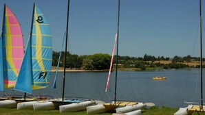 A lakeside view with several sailboats docked along the shore.