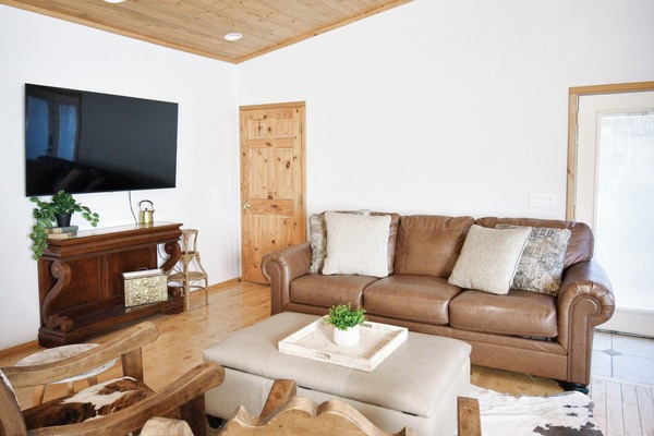 Smart TV, fireplace, books