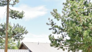 En træhytte med et metal tag, et gyngestativ og et bålsted i gården.