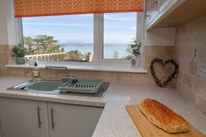 Fridge, microwave, toaster, cookware/dishes/utensils