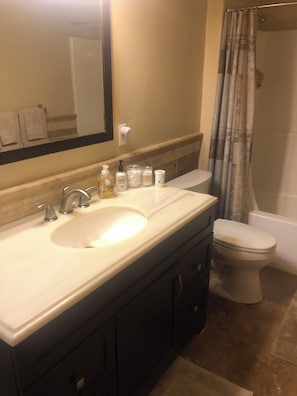 Hair dryer, towels, soap, toilet paper