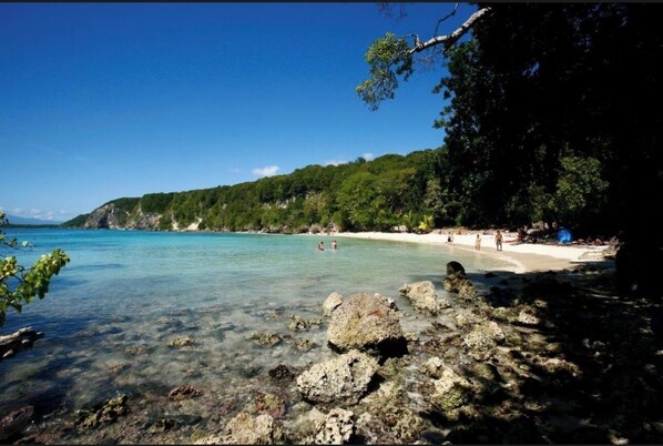 Plage, chaises longues