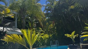 Una piscina azul cristalina rodeada de exuberante vegetación tropical y una escalera blanca que conduce a un balcón.