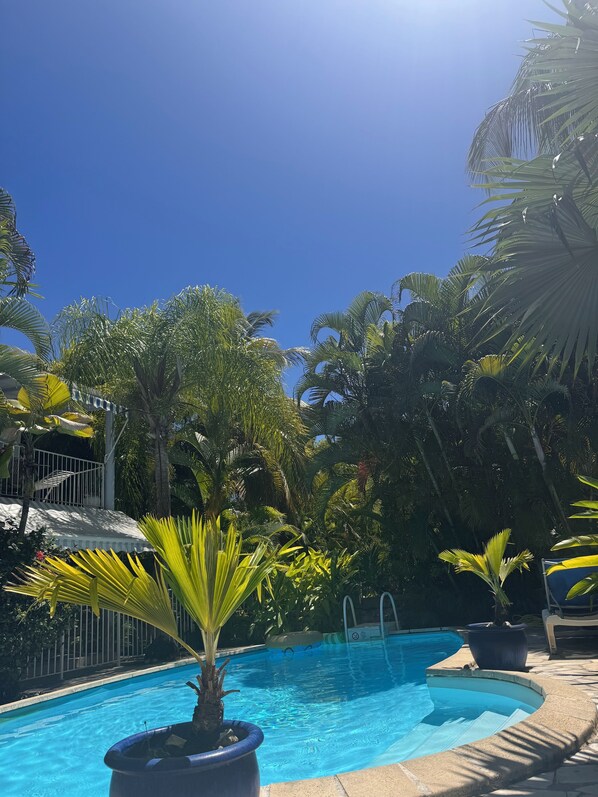 Une piscine d’un bleu éclatant, entourée d’une végétation tropicale luxuriante, et un escalier blanc menant à un balcon.