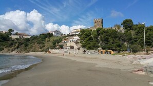 A beach with a castle on a hill, buildings, and trees.