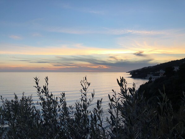 A coastal landscape with a view of the sea and a distant shoreline.
