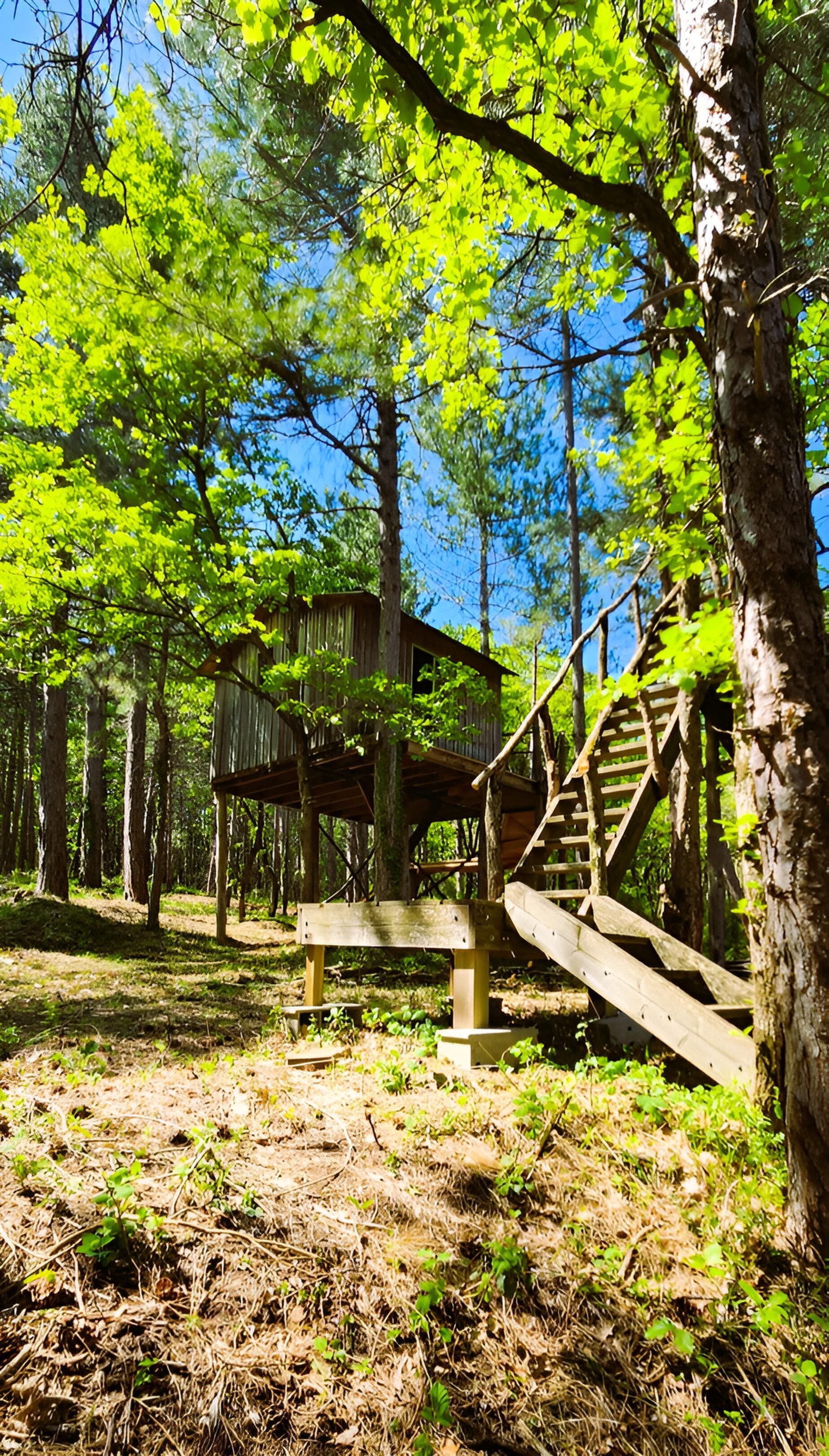 A rustic wooden cabin with a staircase leading to a deck, surrounded by a forest.