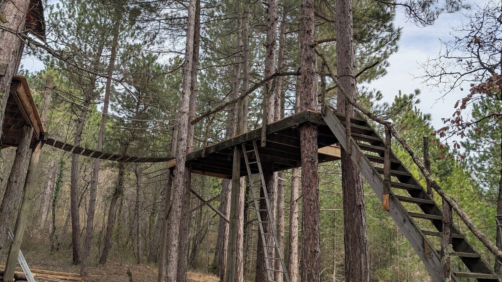 A wooden treehouse with a ladder and a wooden platform, surrounded by tall pine trees.