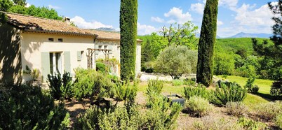 Domaine de la Pigne, tranquillity as far as the eye can see