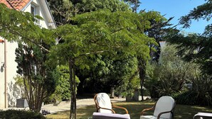 A backyard with a lawn, two wooden chairs, and a tree.