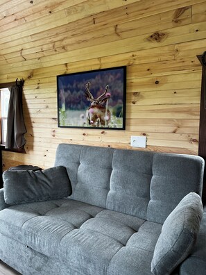 Smart-TV