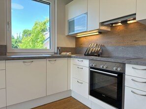 Fridge, oven, stovetop, dishwasher