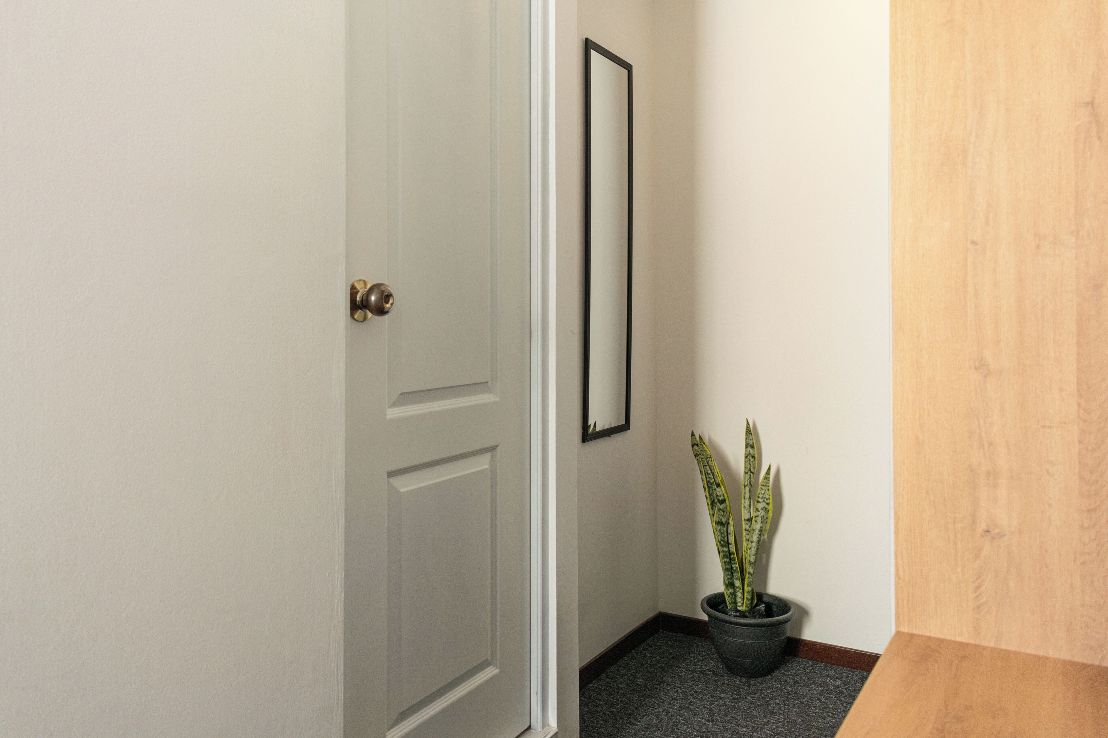 Photo - Hotel Inkalma Centro