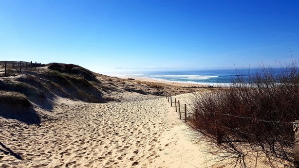 A sandy beach with a wooden fence and sparse vegetation. - Guesthouse in wooded grounds (Saint-Vincent-de-Tyrosse)